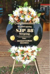 Grand Opening Kabupaten Wonosobo